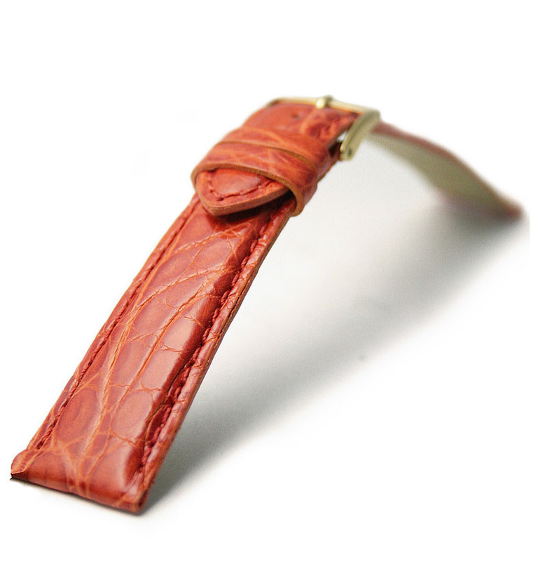 アマデウス クロコダイル オレンジ イメージ1