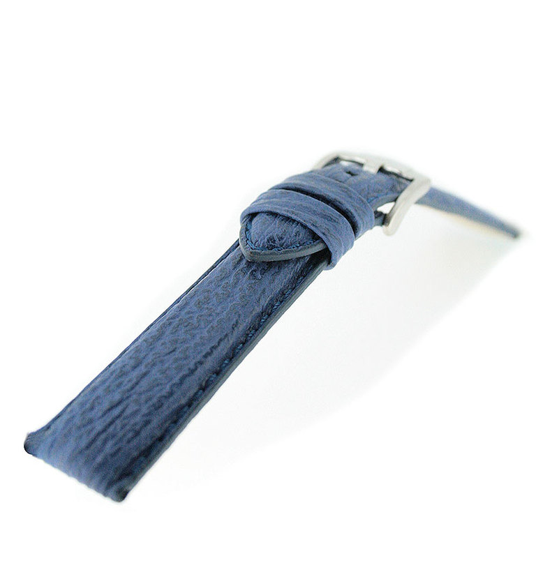 ZRC 588 プレデター シャーク 12 ブルー イメージ1