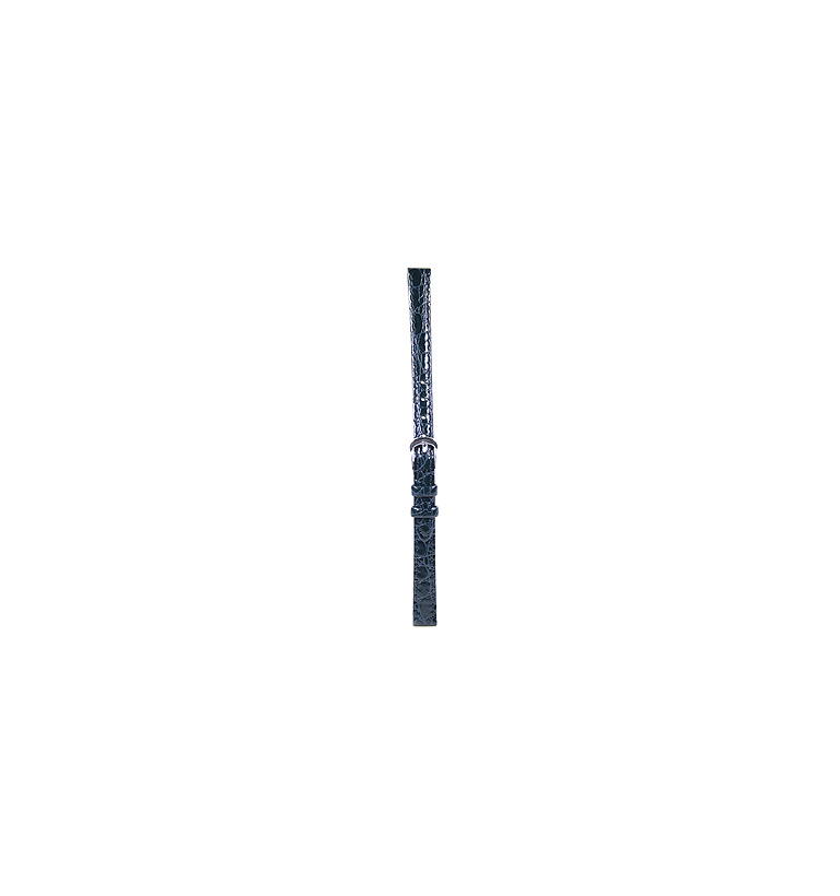 シチズン レグノ カーフワニ型押し 紺色 9mm イメージ3