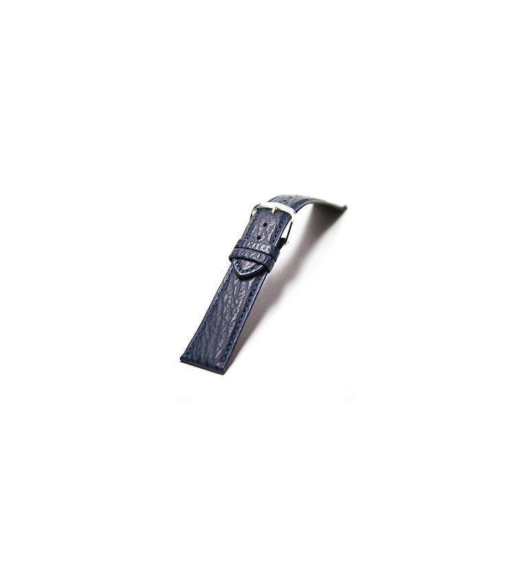 シチズン レグノ 20mm カーフ(シャーク型押し) 紺 イメージ1