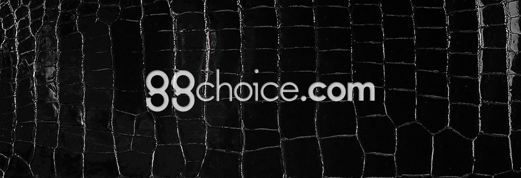 88choice.com